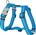 Red Dingo Designer Dog Harness - Daisy Chain (Turquoise)