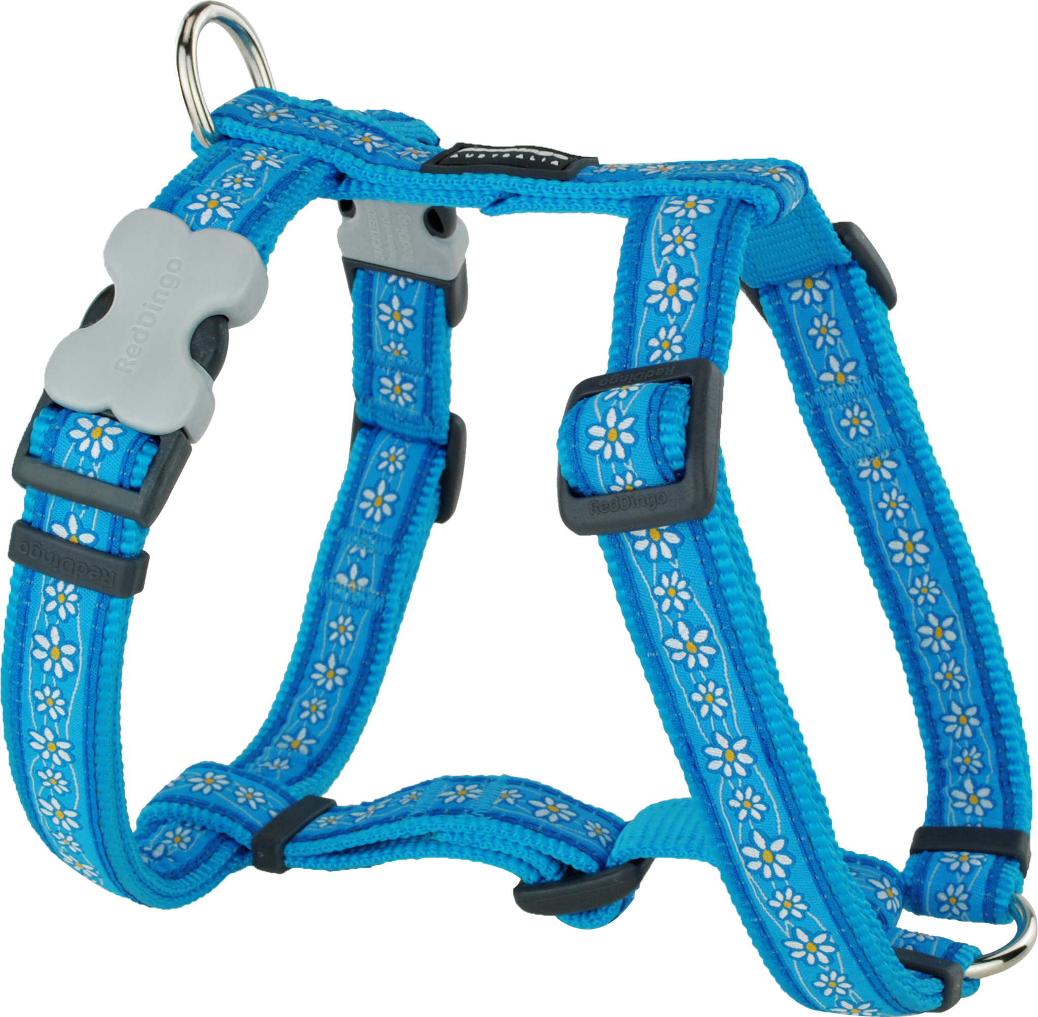 Red Dingo Designer Dog Harness - Daisy Chain (Turquoise)