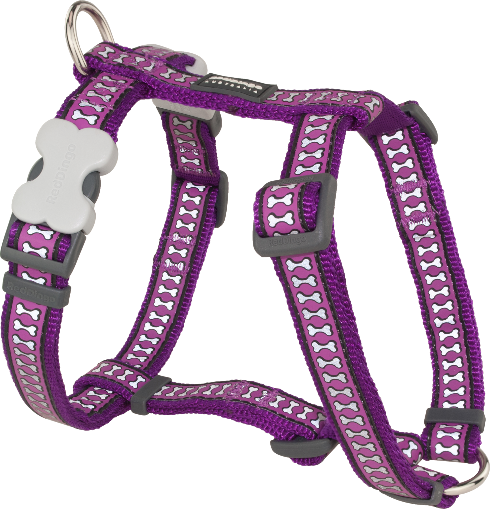 Red Dingo Designer Dog Harness - Reflective Bones (Purple)