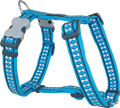 Red Dingo Designer Dog Harness - Reflective Bones (Turquoise)