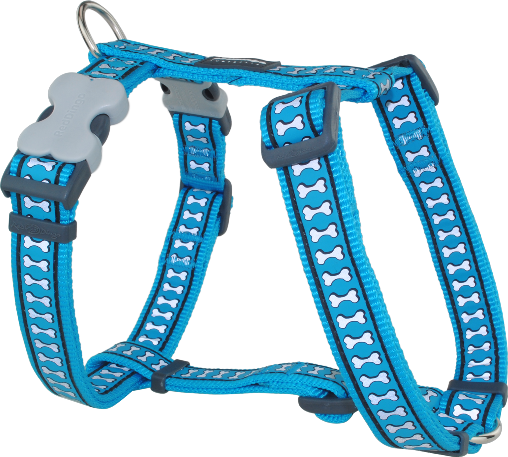 Red Dingo Designer Dog Harness - Reflective Bones (Turquoise)