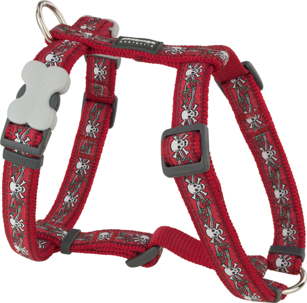 Red dingo online dog leash