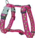 Red Dingo Designer Dog Harness - Stars (Lime Green on Hot Pink)