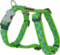 Red Dingo Designer Dog Harness - Stars (Turquoise on Lime Green)