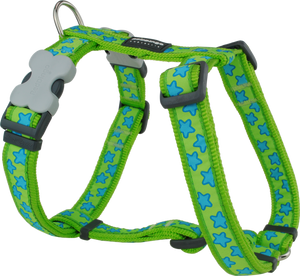 Red Dingo Designer Dog Harness - Stars (Turquoise on Lime Green)