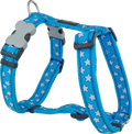 Red Dingo Designer Dog Harness - Stars (White on Turquoise)