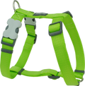 Red Dingo Classic Dog Harness - Lime Green