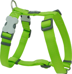 Red Dingo Classic Dog Harness - Lime Green