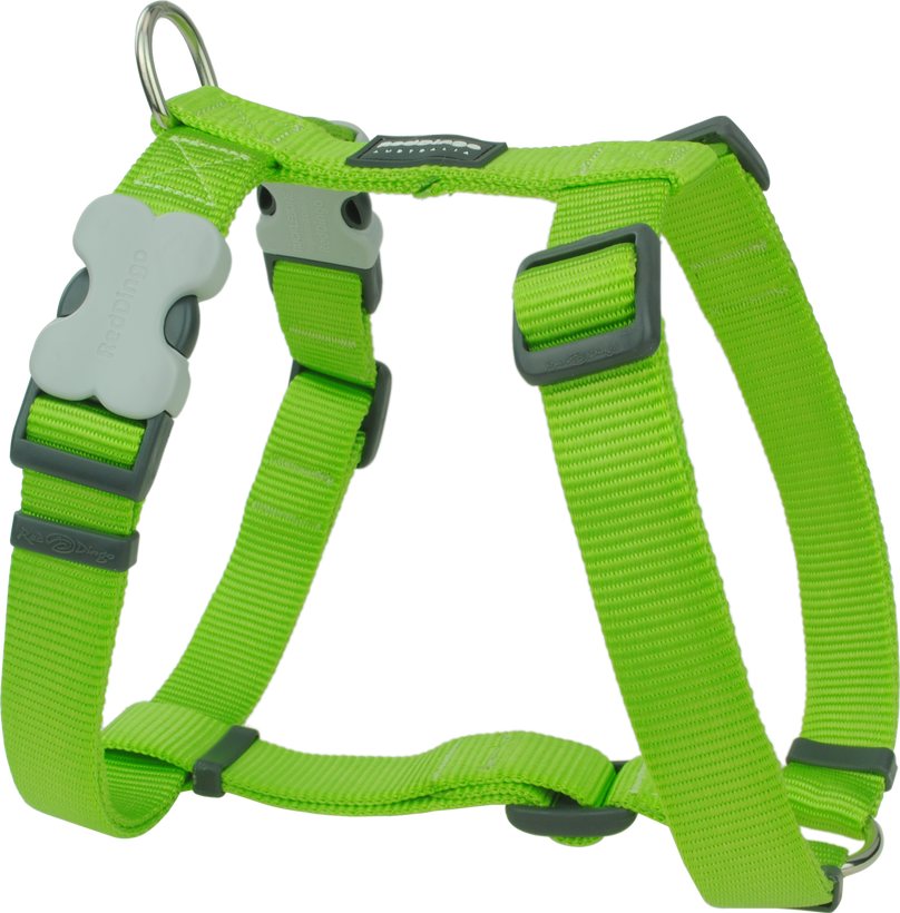 Red Dingo Harnesses