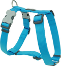 Red Dingo Classic Dog Harness - Turquoise