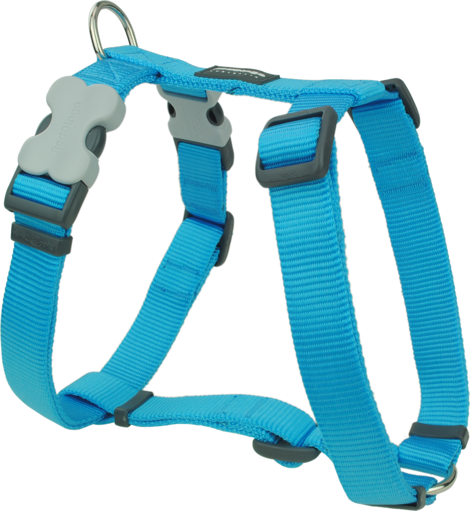 Red Dingo Classic Dog Harness - Turquoise