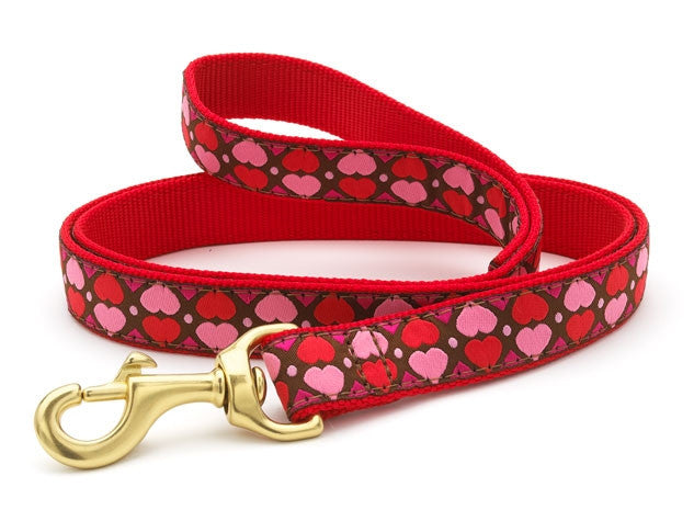 Up Country All Hearts Dog Leash