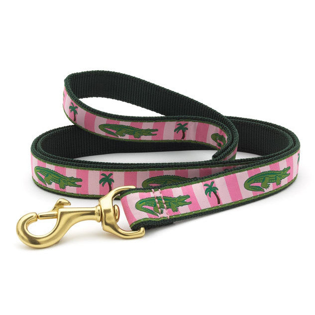 Up Country Alligators Dog Collar