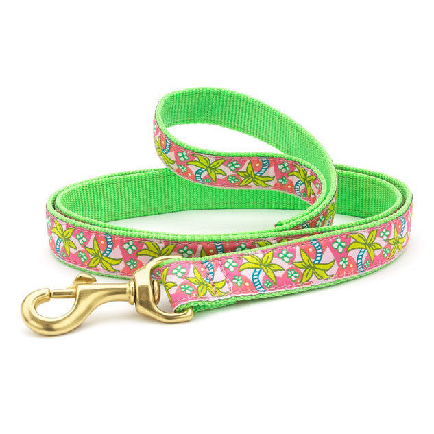 Up Country Pink Palms Dog Collar