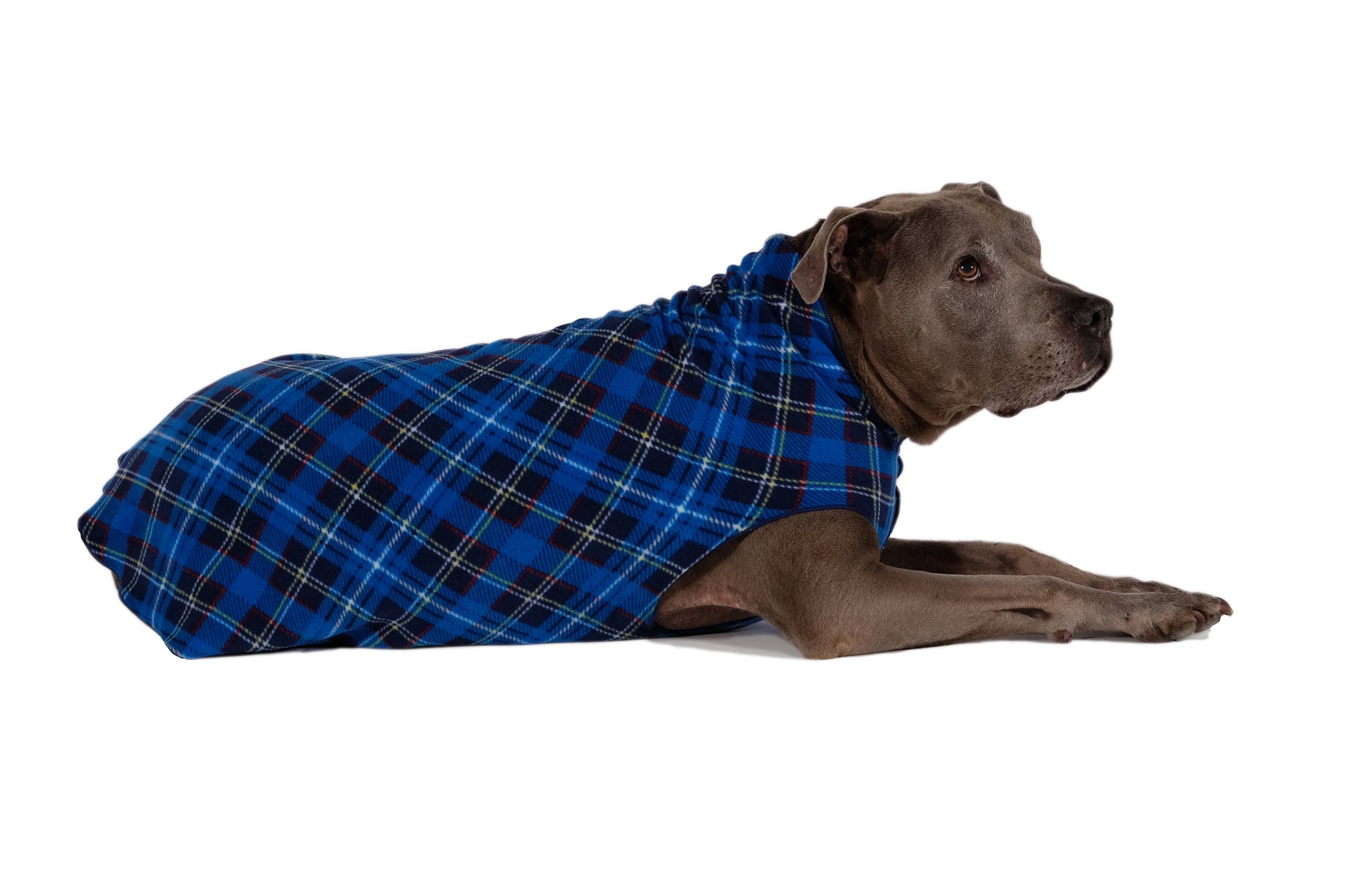 Gold Paw Stretch Fleece Dog Coat - Blue Plaid