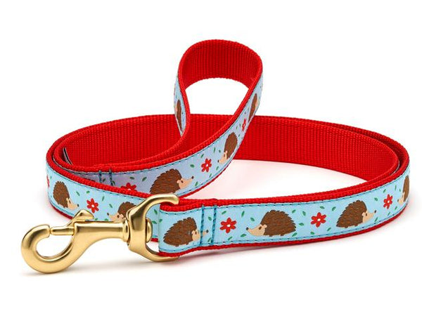 Up Country Hedgehog Dog Leash