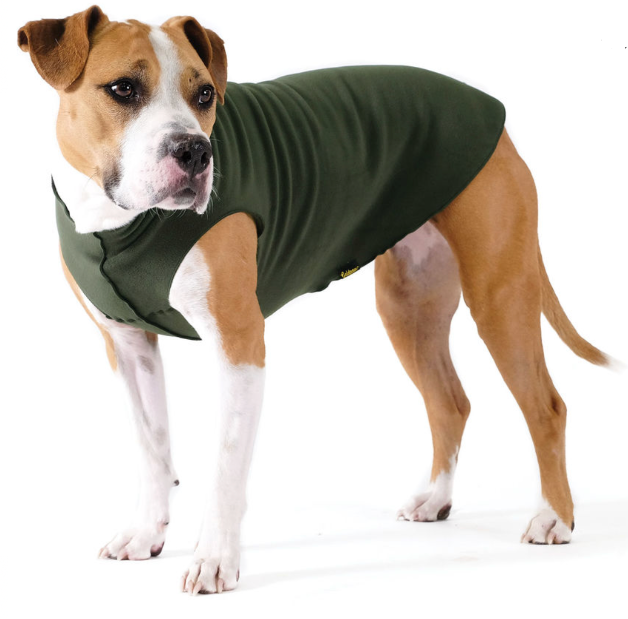 Hunter dog shop coat