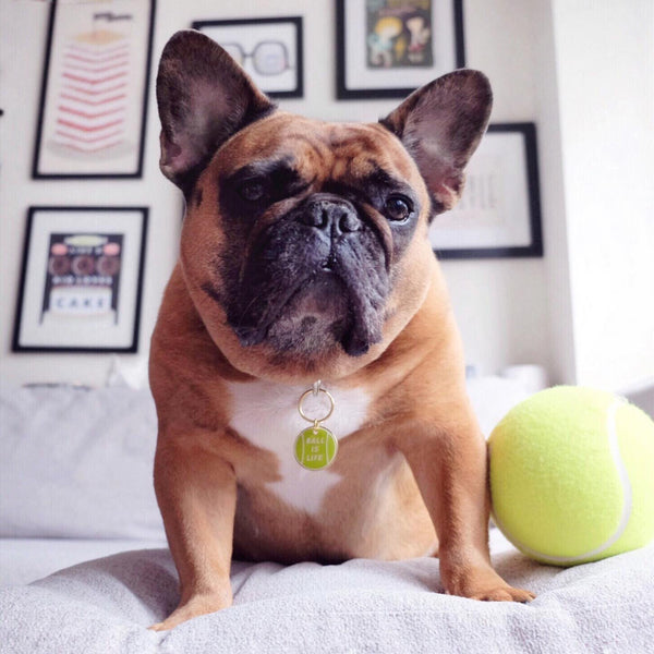 Ball Is Life Dog Tag