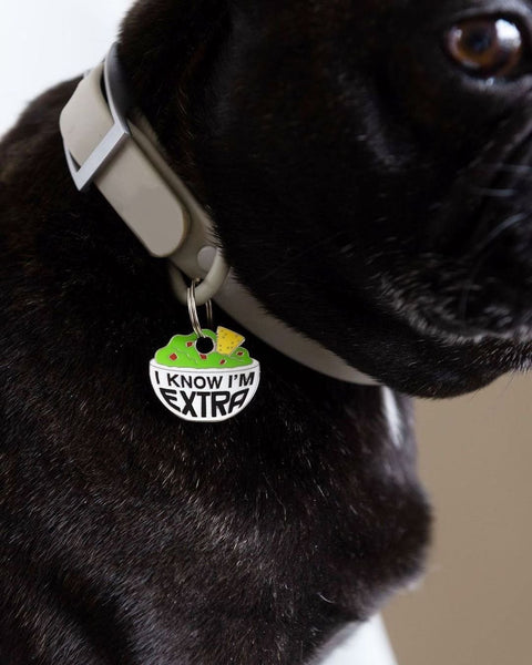 I Know I'm Extra Dog Tag