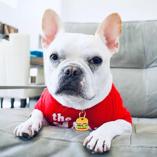 Cheeseburger Dog Tag