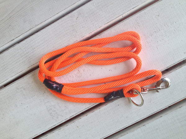 The Walkie Dog Training Leash