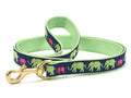Green dog leash with colorful animal silhouette pattern and brass clasp