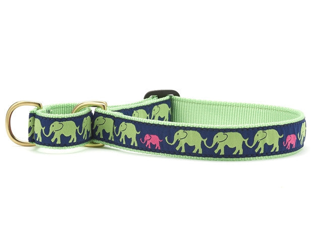 Up Country Leader of the Pach Martingale Dog Collar
