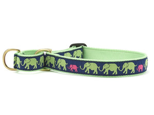 Up Country Leader of the Pach Martingale Dog Collar