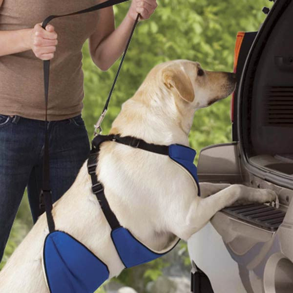 Lift & Lead Dog Mobility Harness