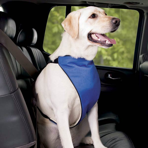 Lift & Lead Dog Mobility Harness