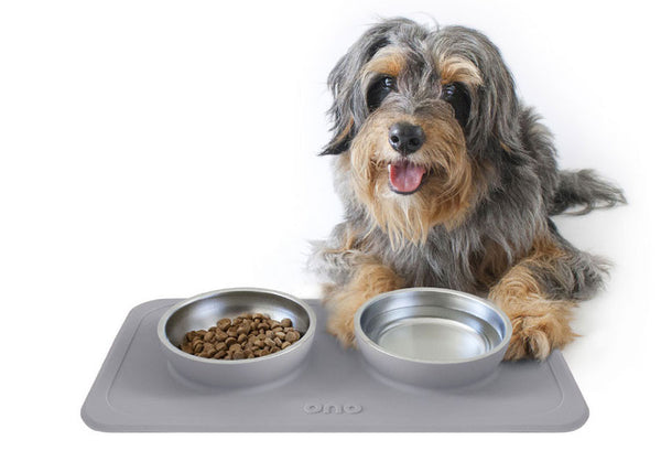 The Great Bowl Double Pet Feeder - Charcoal