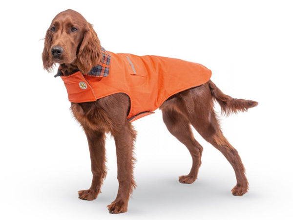 Up Country Orange Field Dog Coat with Plaid Trim