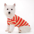 Classic Stripe Dog Polo Shirt - Red/Tan