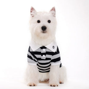Classic Stripe Dog Polo Shirt - Black/Gray