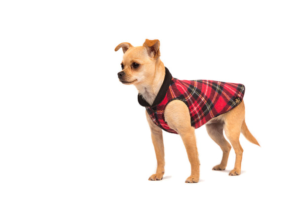 Duluth Double Fleece Pullover Dog Sweater - Red Plaid/Black