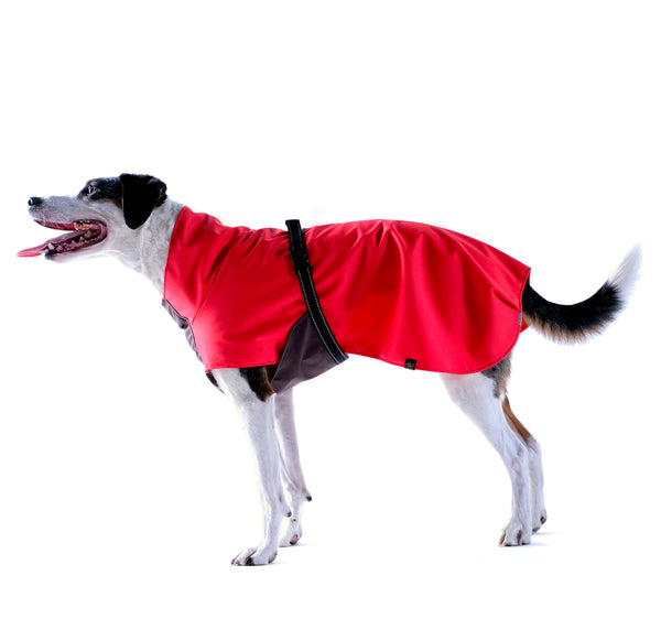 Rain Paw Waterproof All-Season Dog Coat - Neon Yellow
