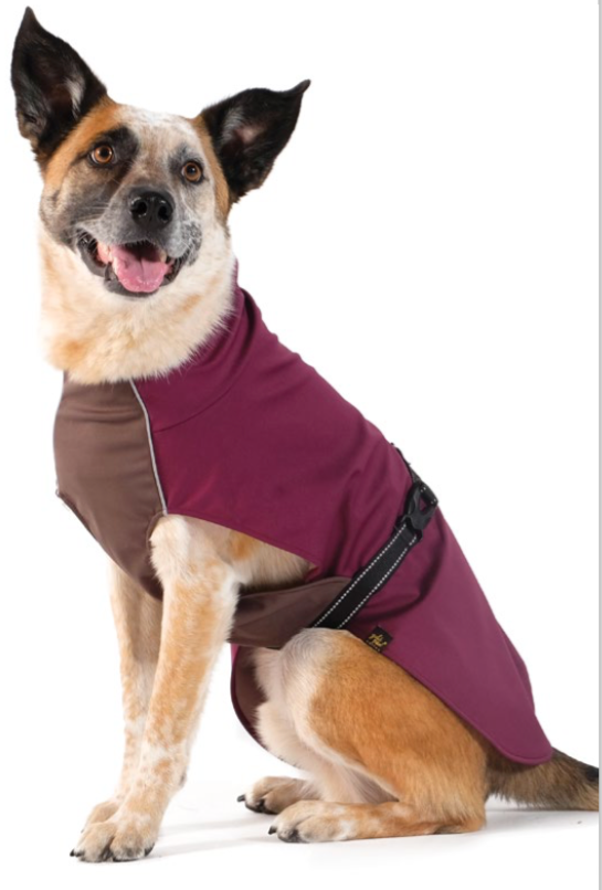 Rain Paw Waterproof All-Season Dog Coat - Beet Root