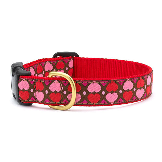 Up Country All Hearts Dog Collar