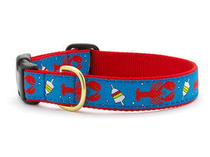 Up Country Lobster & Buoy Dog Collar