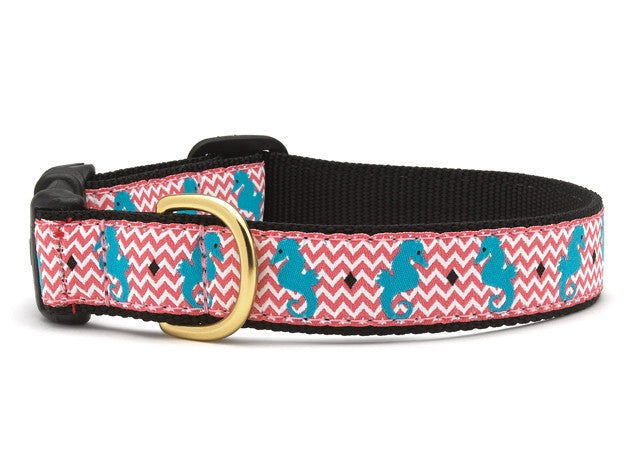 Up Country Seahorse Dog Collar