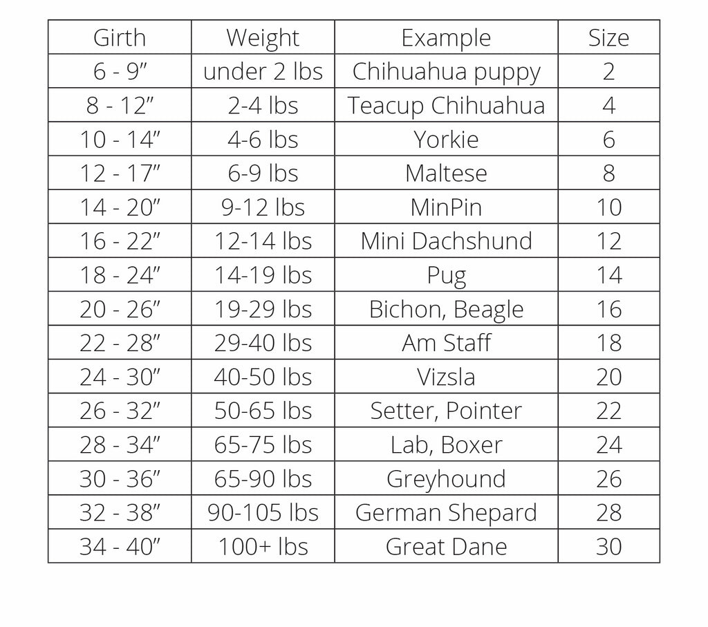 Sun Shield Dog Tee - Pistachio Green