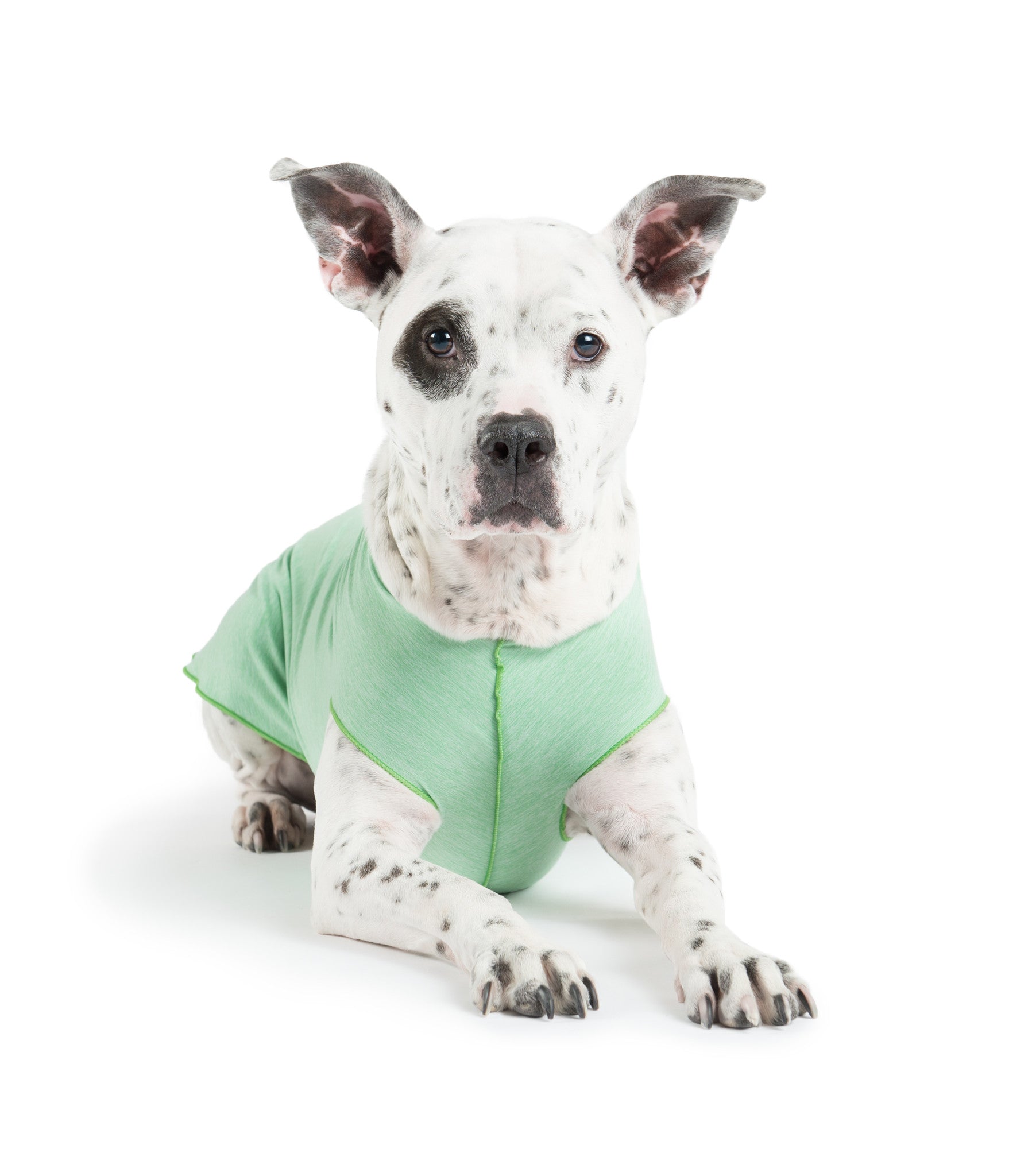Sun Shield Dog Tee - Pistachio Green
