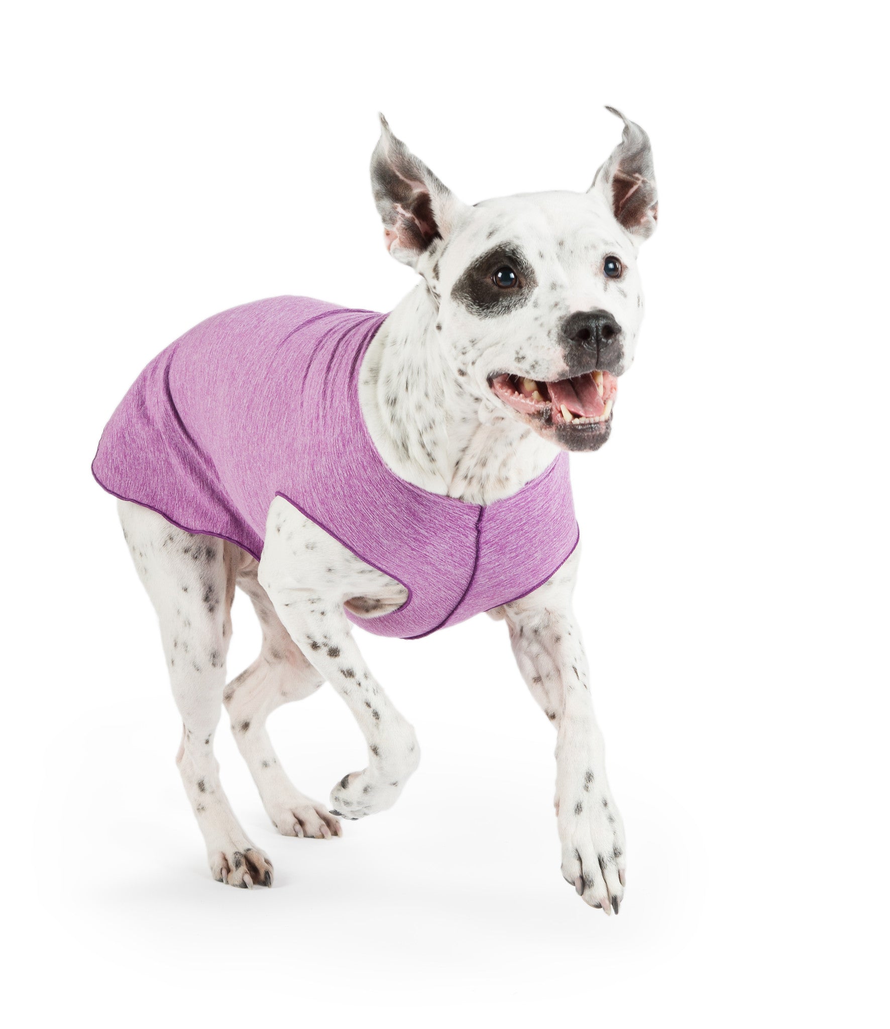 Sun Shield Dog Tee - Ocean Blue – PupLife Dog Supplies