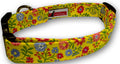 Elmo's Closet Trellis Dog Collar