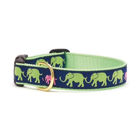 Up Country Leader of the Pach Dog Collar