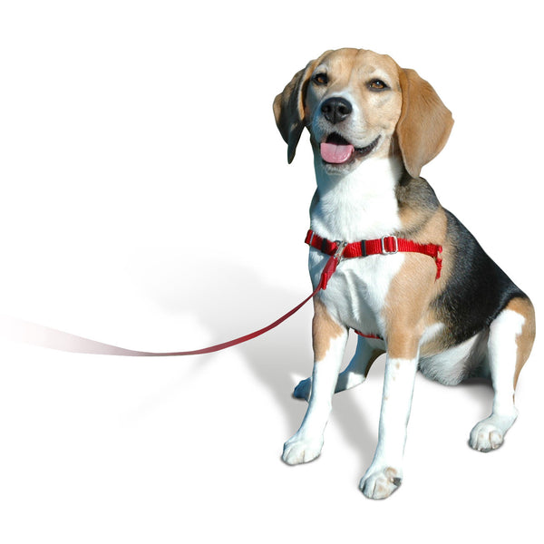 SENSE-ible No Pull Dog Harness - Red