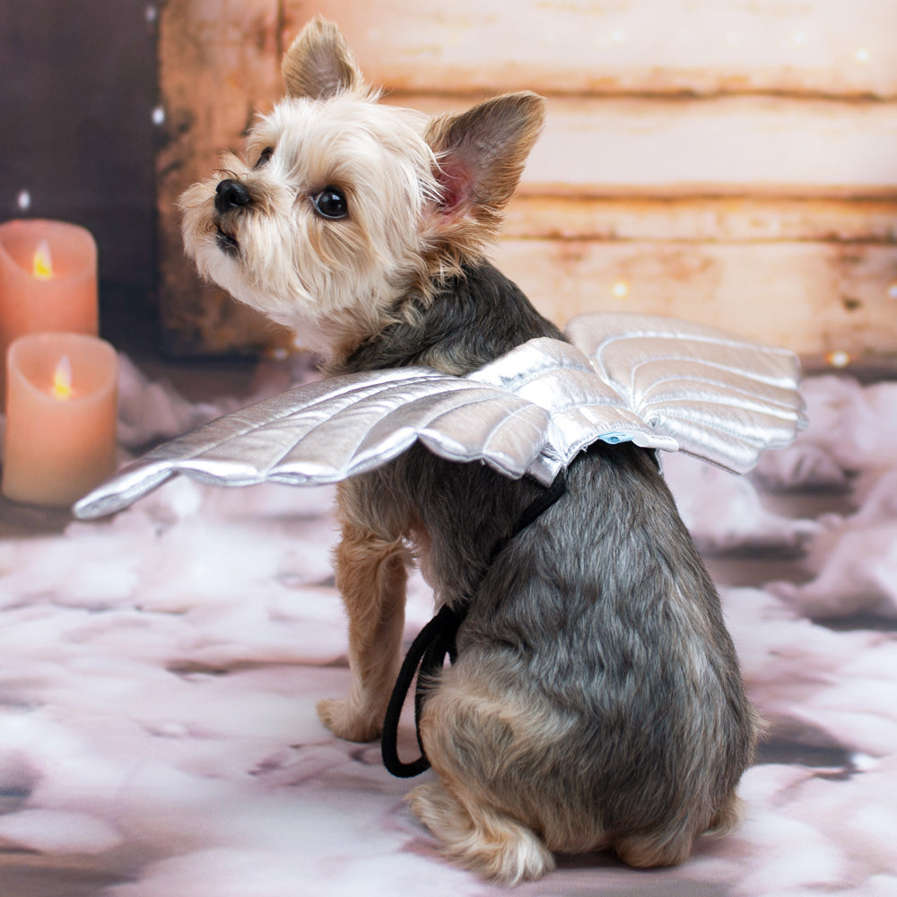 Angel Wings Dog Halloween Costume - Silver