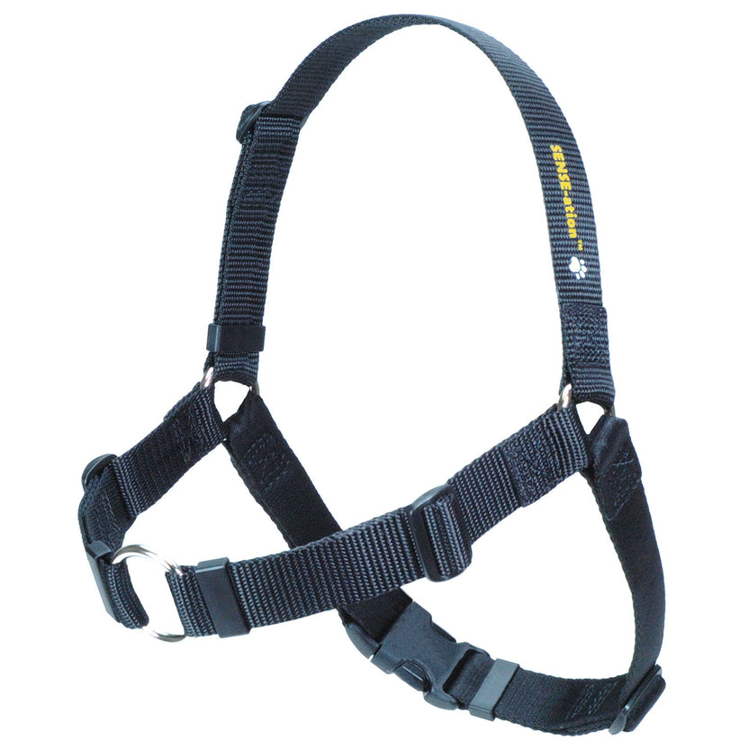 SENSEation Dog Harness PupLife Dog Supplies