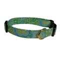 Elmo's Closet Borano Dog Collar