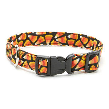 Elmo's Closet Rainin' Candy Corn Dog Collar